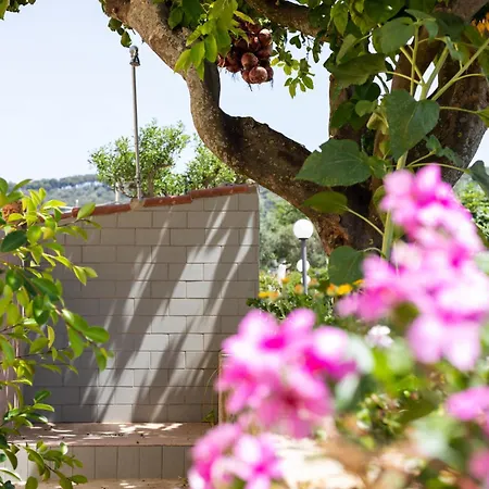 Casa Anna Santa Maria (Vibo Valentia)