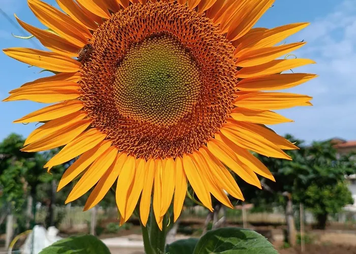 度假居 Casa Anna Santa Maria